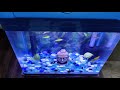 Crystal Clear Fish Tank Water, Clean Aquarium, Tips  in Tamil