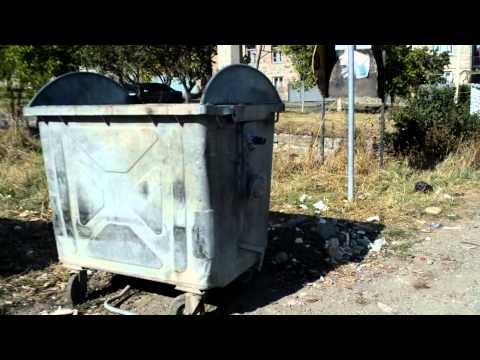 დანაგვიანებული თელავი