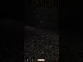 Stealing From a Drunk Guard Like a Pro – Thief Gold Classic #thiefgame #stealth #bestmoments