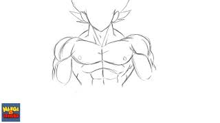 comment dessiner le corps de goku dbz les muscles