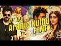 Arabic kuthu remix  dj raj  beast  anirudh