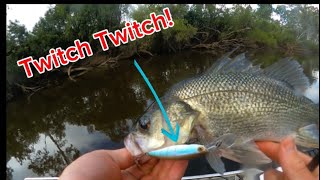 Autumn Bass Fishing - Slow twitched Jerkbaits!