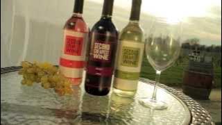 Second Cheapest Wine