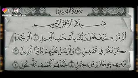 سورة الفيل يارب انصر فلسطين 🇵🇸