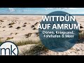 Wittdün auf Amrum | Strand, Kniepsand, Dünen, Hafen & Meer bzw. mehr | 2020
