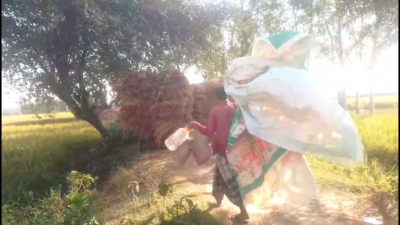 আমাদের শুন্য রাস্তা গুলো যখন পরিপূর্ণ থাকে | Sujon Agro 