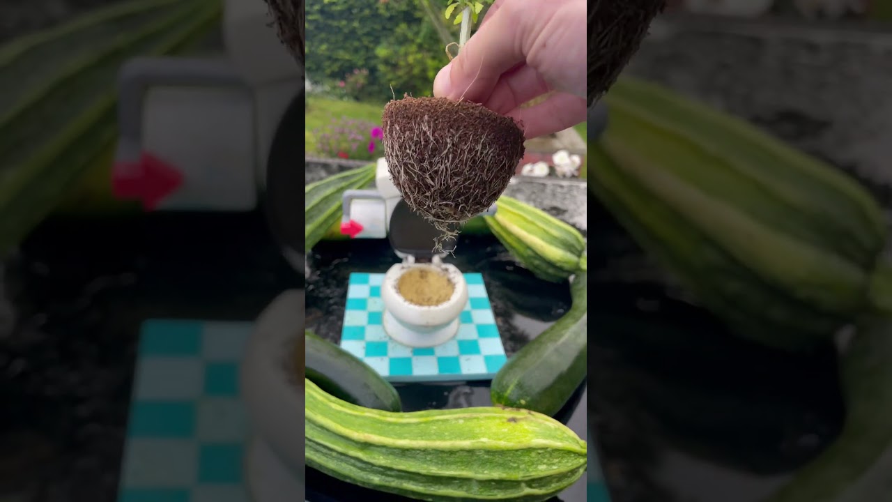 Growing outside in the uk