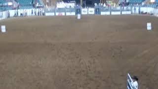 Tingley Coliseum, Emily, 9619