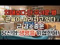 치매보다 더 무서운 병 근감소증 #치매 #근감소증 #근력감소 #60대 #70대