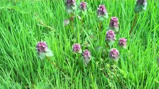 See You In The Tubes Acuity1980