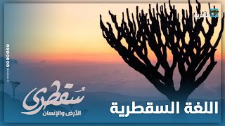 ماهي أبرز المهددات التي تواجه اللغة السقطرية؟