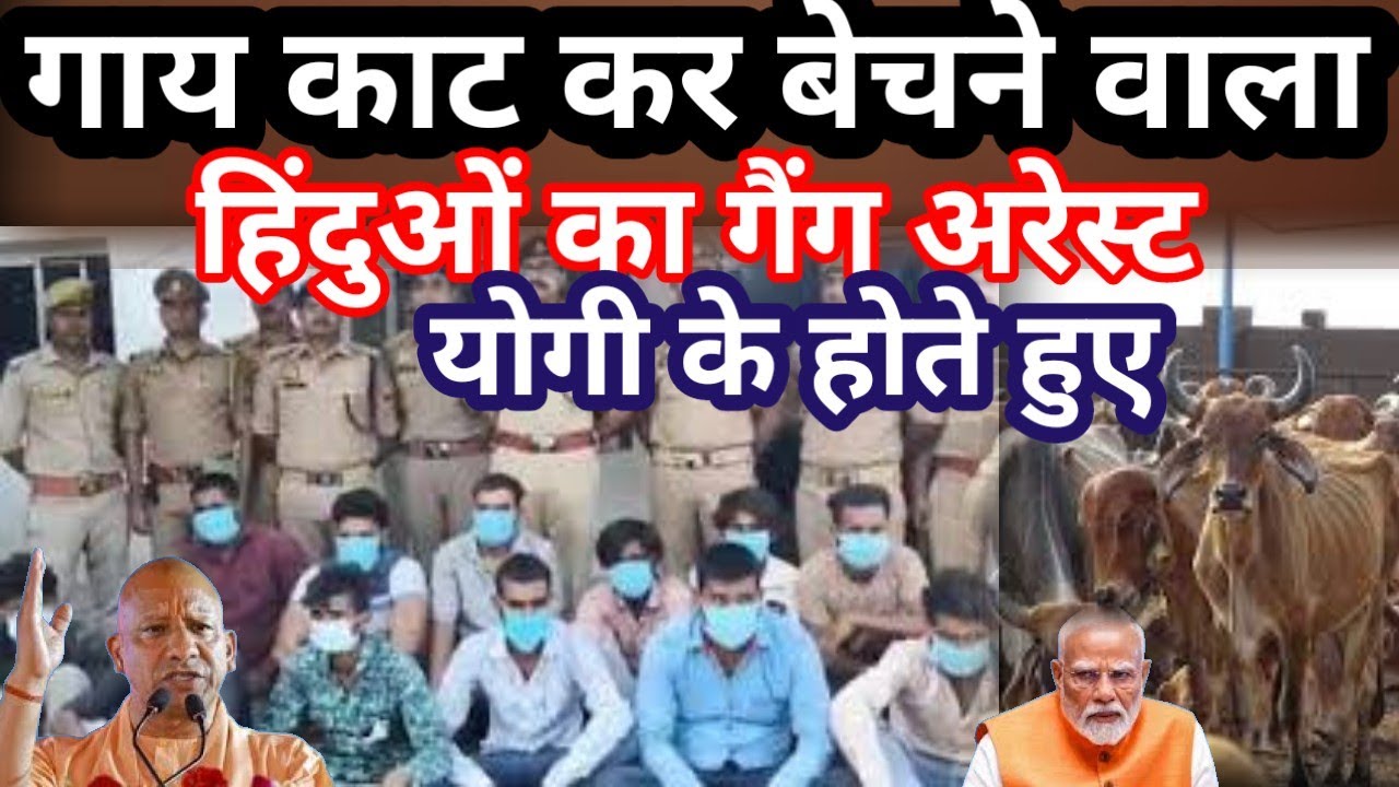 Auraiya News LIVE: Big action by Auraiya police 🚨 16 smugglers arrested | 51 live cattle recovere...