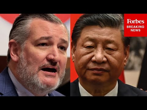'Keep Their Resources Out Of Beijing's Grip': Cruz Calls For Mineral Deals With African Countries