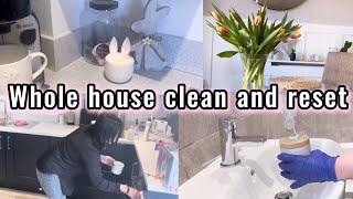 🌷A whole house reset\/ spring decor\/chatting with you\/ clean with me