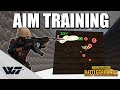 GUIDE: How to TRAIN YOUR AIM for PUBG (And other FPS games ...