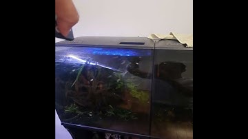 Flex 15 white led light not working