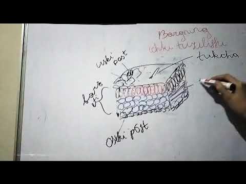 Porno sadomaso lezbiyen shapaloq pissing