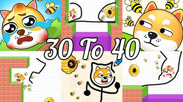 save the dog 6 game level 30 to 40 gameplay ios Android