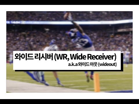 [NFL 입문] 와이드리시버에 대해 알아보자~