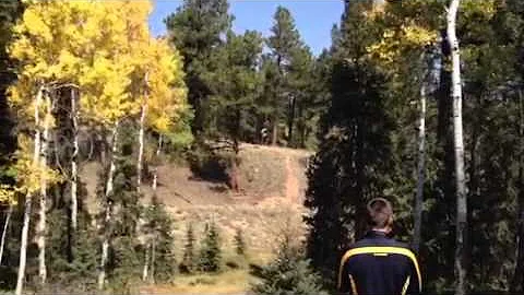 Jacob zipping camporee