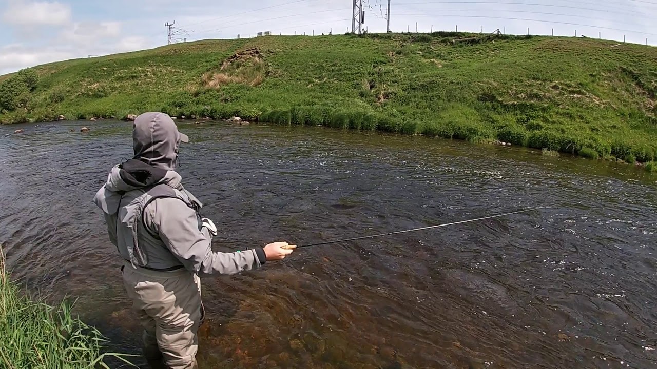 River Clyde Fishing June 11th YouTube
