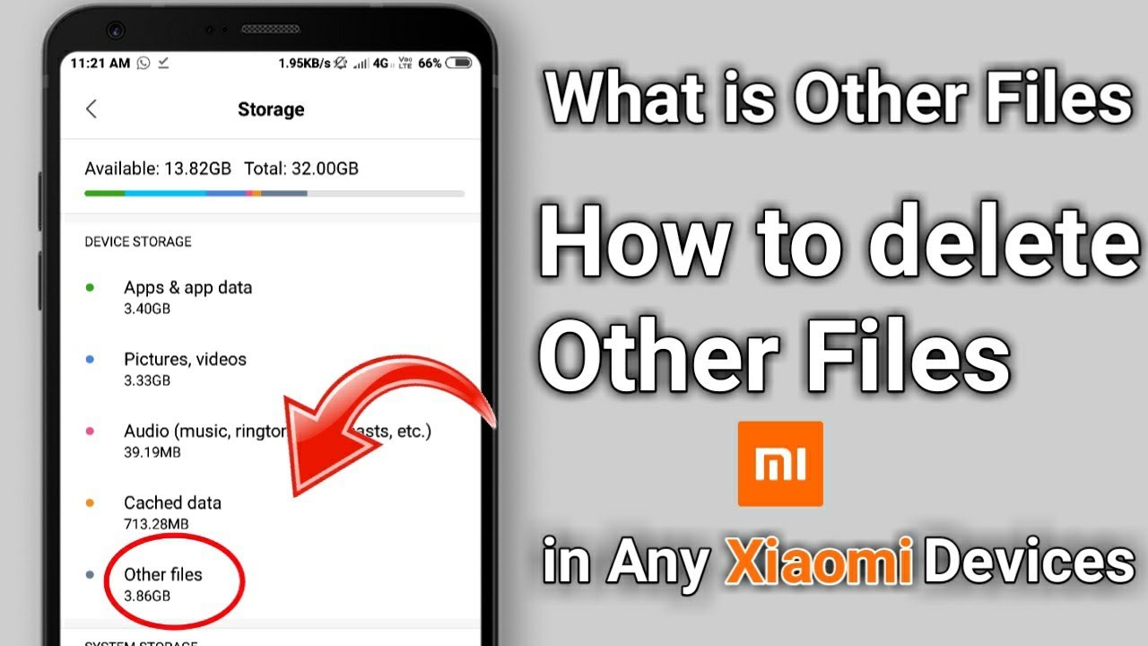 Full Details of OTHER FILES in storage option how to clean/delete