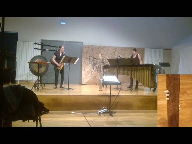 Duo Saxophone alto Marimba - MÉGÉTAL - Olivier Costa