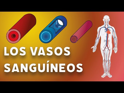 Video: ¿Cómo no se contagia el herpes?