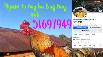 มาตอบทุกคนนะครับ-Teb nej cov nug2 qaib xav yuav tiag hu kiag tuaj nb #hmoobtxojkevuaneej 