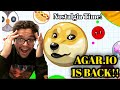 I Played Agar.io Again After 10 Years…