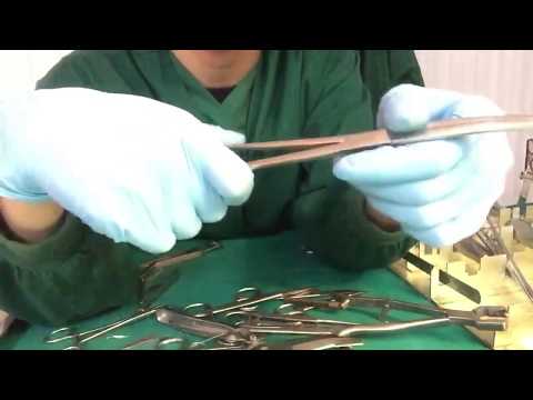 Video Giới thiệu dụng cụ phẫu thuật trong Thú y (Dương pets ) - youtube