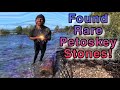 Collecting Petoskey Stones | Rockhounding Fossil Coral | Lake Michigan