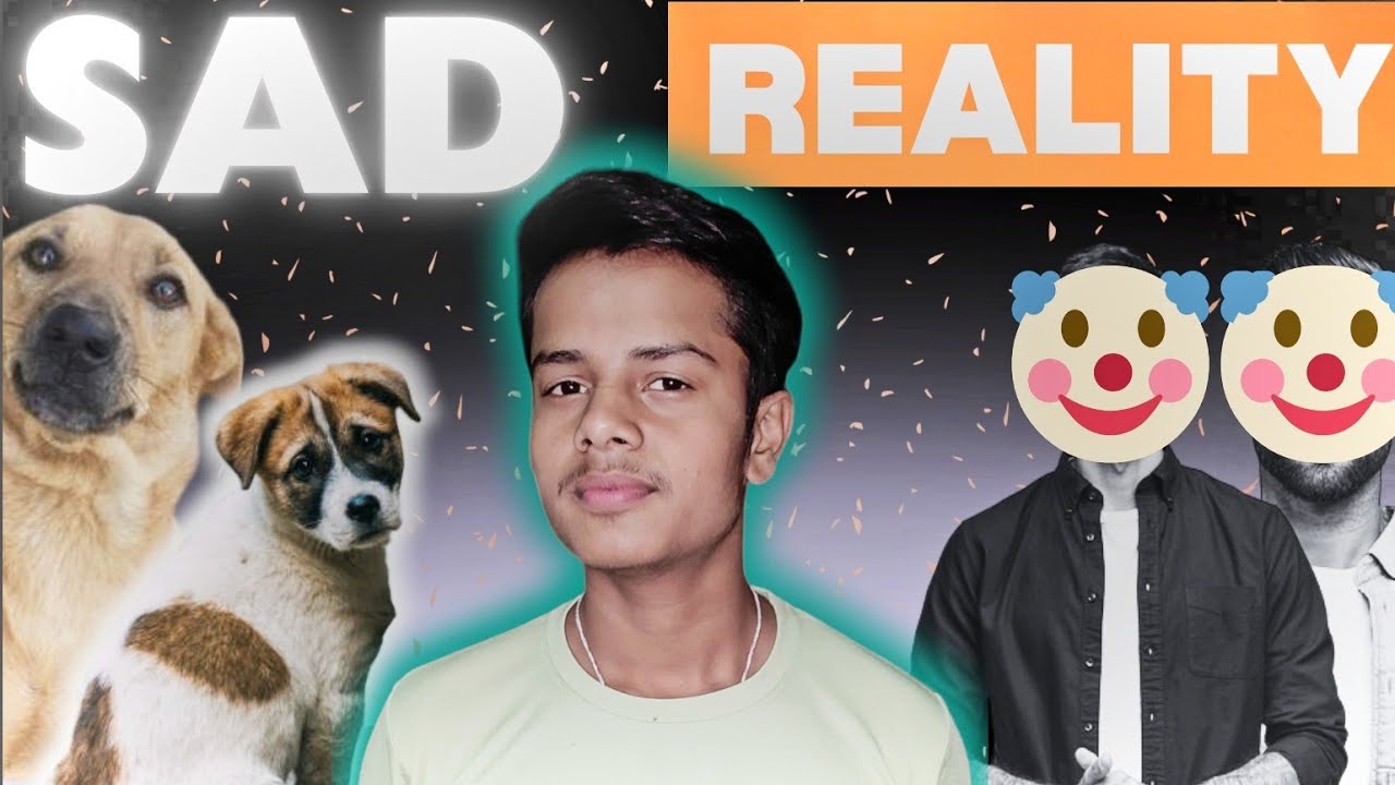Dogs kabhi dhokha nhi dete 🥹