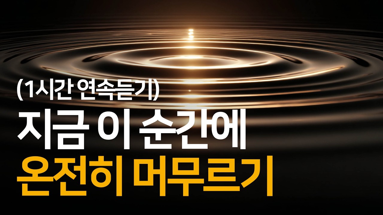 지금 이 순간에 온전히 머무르세요 | 2월 셋째주 통합본