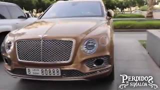 Las Envidias Video Lyric - Dariel Ramirez