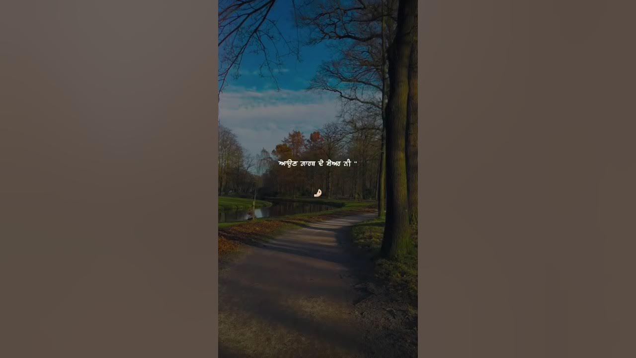 New Punjabi Status Punjabi Love Status New Punjabi Song 2025 love