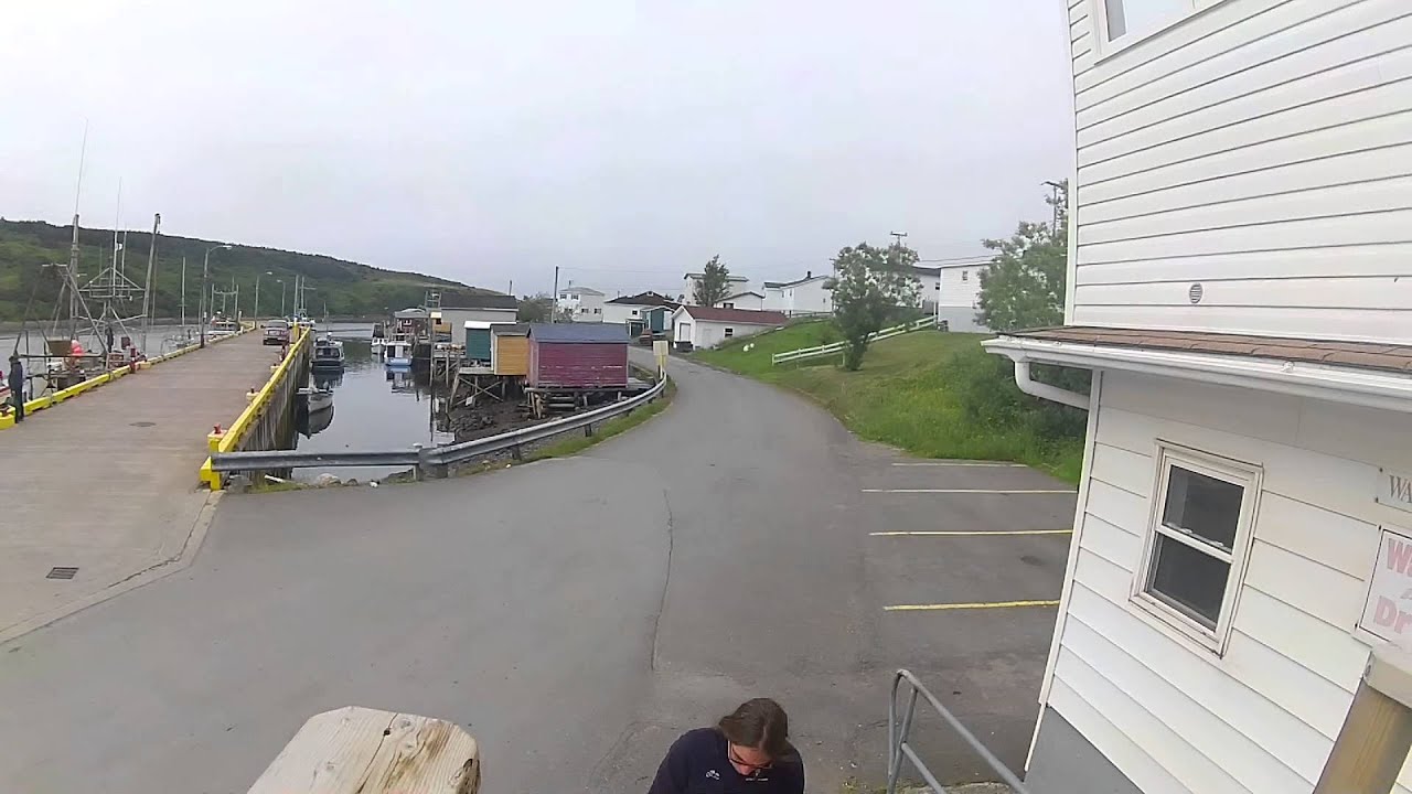 Fortune, nl july 2014 YouTube