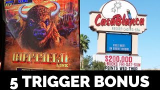 5 TRIGGER BONUS BUFFALO LINK! CASABLANCA RESORT, MESQUITE NEVADA