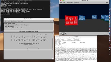 GopherVR in action