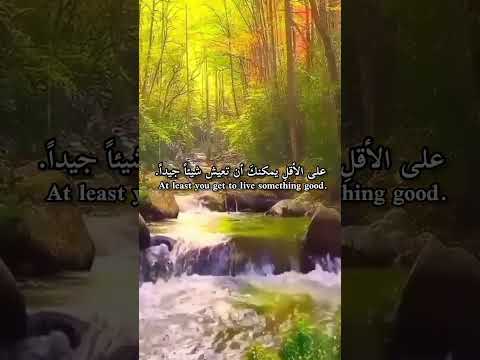 العيش في الأحلام ليس سيئا