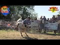 LE TOCO CAER AL BANDID0 DE MANCUERNAS CONTRA EL PULPO DE LOS TOROS TSUNAMIS.