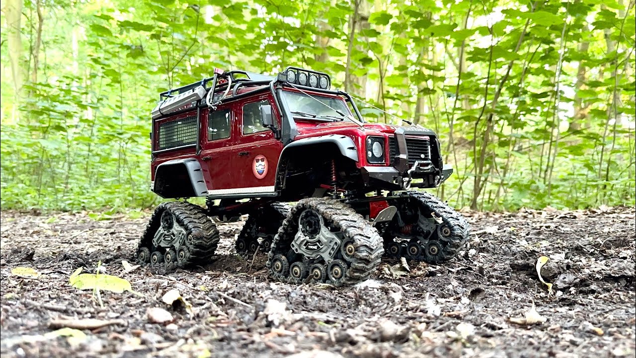 Relaxing evening trail in the woods