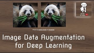 Image Data Augmentation for Deep Learning Image Data Augmentation for Deep Learning