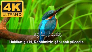 Cin Suresi丨İslam Subhi ⁴ᴷ丨Muhteşem Kıraat ⁶丨Biz hayret verici bir Kur'an dinledik.