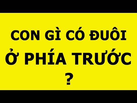 Video 10 câu đố mẹo có đáp án khiến bạn căng não - youtube