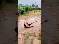 fails like n subscribe gonna be doing lots of funny videos #funny #lol.      like and subscribe