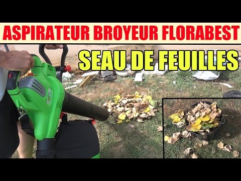 lidl aspirateur souffleur