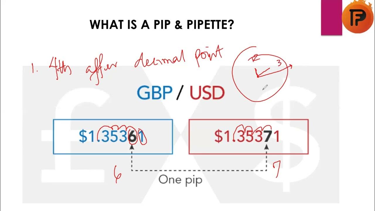 what is a pip &pipette YouTube
