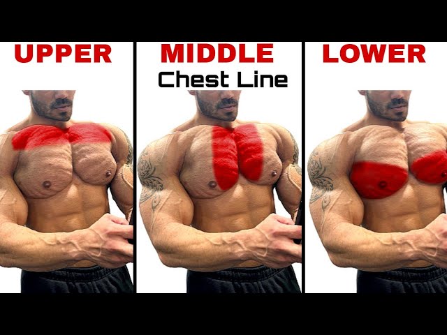 Birtech Power - 🔴 COMPLETE CHEST EXERCISES - UPPER/LOWER