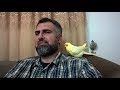 أيهما افضل للتدريب والتوليف ذكر طائر الكوكتيل أم أنثى الكوكتيل ولماذا